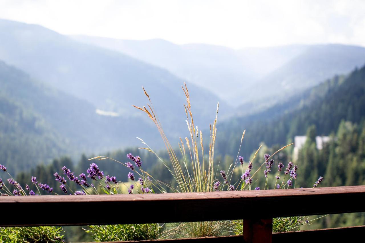 Bergblick Ruhe Und Aussicht Auf 1100M Lägenhet Sankt Lorenzen ob Murau Exteriör bild
